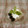violets's cooksnap of when they made チーズ風？！水切りヨーグルト簡単デザート.