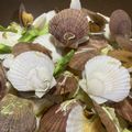 moonshiner's cooksnap of when they made お手頃・殻付きホタテと春キャベツで酒蒸し.