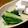 ✿ykyk✿'s cooksnap of when they made わけぎのぬた.
