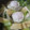 tamago大好き's cooksnap of when they made 絹さやとアゲの煮物in落とし卵.