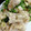 Hitomiクック's cooksnap of when they made 簡単！鶏のササミ×三つ葉の柚子胡椒和え.