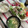 ぐりtoぐら's cooksnap of when they made 豚しゃぶのごまだれ.
