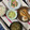 ぐりtoぐら's cooksnap of when they made 小松菜とちくわのオイマヨ炒め.