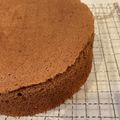 れいんぼう's cooksnap of when they made ふんわり しっとり♪ココアスポンジ.