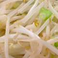 MULA's cooksnap of when they made もやしの焼きそば粉ソース炒め.