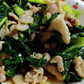 ゆうりママ's cooksnap of when they made 豚肉とビタミン菜のオイスターソース炒め.