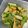 クックGEFY6Q☆'s cooksnap of when they made ♪レンジで簡単♪厚揚げと小松菜のピリ辛♪.