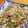 こむきむこ's cooksnap of when they made ご飯がすすむ！もやしと野菜の肉味噌炒め.