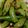 結空＠ゆいあ's cooksnap of when they made 緑野菜でおかか和え.