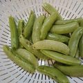 結空＠ゆいあ's cooksnap of when they made 簡単豆知識☆スナップえんどうの下拵え.