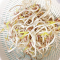 nikkijamie's cooksnap of when they made お家でモヤシ栽培.