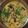 inLondon's cooksnap of when they made ★行者ニンニクのたまごとじ★アイヌネギ.