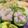 ゆけり３兄弟's cooksnap of when they made かまぼこのお花☆飾りきり☆お弁当お節に♪.