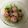 チェリチョコ's cooksnap of when they made 生ハムとベビーリーフの簡単★サラダ.