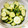 ふうはっちゃん's cooksnap of when they made きゅうりのごま和え.