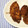 みぃくんのママ's cooksnap of when they made 玉ねぎフライの玉ねぎの簡単な切り方！.