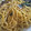 たみゅこ's cooksnap of when they made しめじと小松菜の和風パスタ.