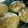 おんち's cooksnap of when they made 無花果と胡桃の全粒粉パン.