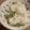 クック6VWZLC☆'s cooksnap of when they made 炊飯器で豆ご飯.