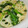 papikun's cooksnap of when they made しゃきふわ☆れんこんと豆腐のカレー炒め.