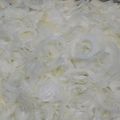 sawa＊sawa's cooksnap of when they made もう水にさらさない！新たまねぎサラダ.