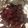 torororo〆's cooksnap of when they made 簡単ほくほく、ビーツだけ！サラダ.