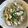 クック640YRR☆'s cooksnap of when they made クレソンと豚の炒め物.