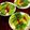 ルぴあ's cooksnap of when they made ✨スイスチャード❀マヨサラダ✨.