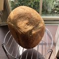 トコタン's cooksnap of when they made ふすま＆全粒粉入り＊食パン（改良ver）.