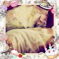 さっちゃーーーん's cooksnap of when they made あっさりコンソメスープのロールキャベツ.