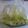 aizu_po's cooksnap of when they made 塩こんぶキャベツ.
