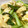 さおりん@料理特訓中's cooksnap of when they made 簡単な一品【青梗菜と卵の塩炒め】.