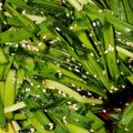 森家の晩御飯's cooksnap of when they made ラーメン屋の旨辛ニラニンニク漬け.