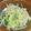 クックVOY1Q3☆'s cooksnap of when they made 水菜ともやしの胡麻和え.