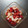 チコリママ's cooksnap of when they made むきえびとトマトのマリネ.