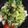 クック2H9MD0☆'s cooksnap of when they made いわしの缶詰丼.