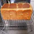 タンタン73's cooksnap of when they made 乃が美の生食パン風1斤と[1.5斤].