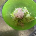 べあーるぶい's cooksnap of when they made セロリとツナマヨの簡単サラダ.