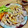2880naaao's cooksnap of when they made 簡単！たっぷり新玉ねぎの中華風冷豚しゃぶ.