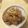 るりご's cooksnap of when they made 豚肉のしょうが煮.