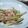 yukky☆mama's cooksnap of when they made ツワブキと豚肉の煮物.