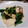ねずみんパラダイス's cooksnap of when they made ほうれん草と豆腐の甘辛炒め.