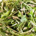 さちぶた♪'s cooksnap of when they made 簡単美味しい！水菜とツナのサラダ.