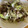 0720まま's cooksnap of when they made 砂肝のネギ塩レモン炒め.