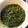 initium's cooksnap of when they made バジルじゃないよ！春菊のジェノベーゼ！！.