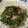 tisamari's cooksnap of when they made ピーマンと豚肉と塩こんぶの炒め物.