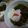 myukitty's cooksnap of when they made 温玉めかぶ.