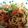あかぷり's cooksnap of when they made 豚肉と菜の花のトマトソースパスタ.