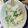 政志っす's cooksnap of when they made ダイエット 野菜タップリ 麺なしタンメン.