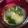 小麦粉【100g】's cooksnap of when they made 超簡単☆えのきともやしの味噌汁☆39㌍.